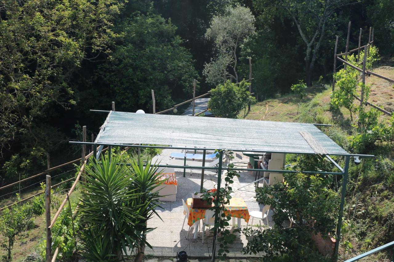 Villa Maremonti - Con 3 Piscine Sestri Levante Zewnętrze zdjęcie